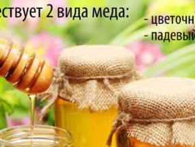 Падевый мед
